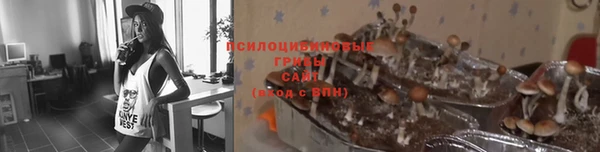 ешки Верхнеуральск