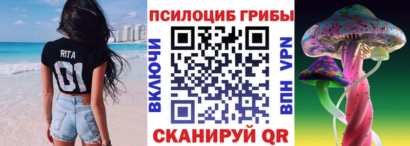 Псилоцибиновые грибы GOLDEN TEACHER  blacksprut сайт  Камызяк 